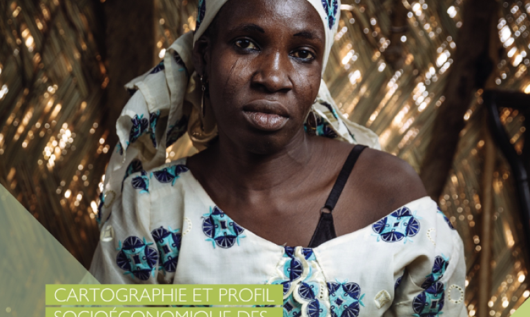 Cartographie et Profil Socio-économique des Communautés de Retour en Côte d'Ivoire